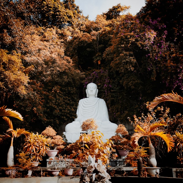 Upcoming Buddhist Events